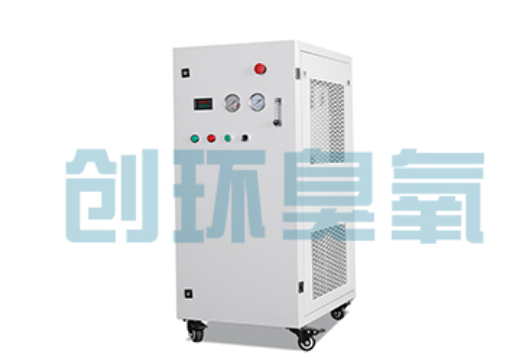 辽阳石斑鱼养殖水质调控完整指南:臭氧发生器配置与操作步骤