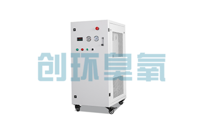 辽阳比传统换水更高效?臭氧发生器在石斑鱼养殖中的水质净化原理解析