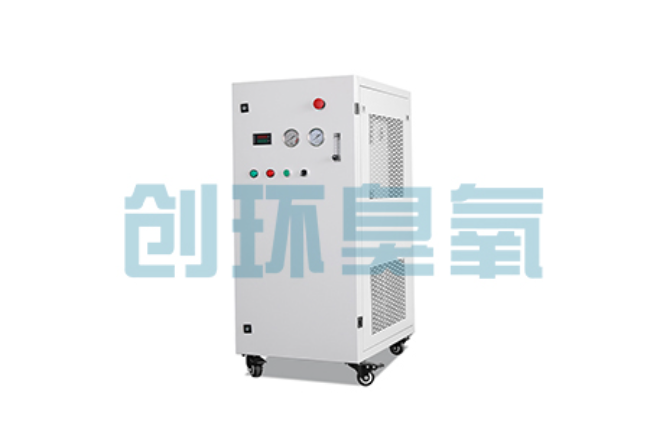 辽阳比传统换水更高效?臭氧发生器在石斑鱼养殖中的水质净化原理解析